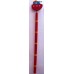 Wooden Pencils - Assorted Wooden Pencils - Assorted